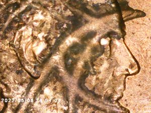 2021-D-Lincoln-With-Odd-Features-On-Obverse